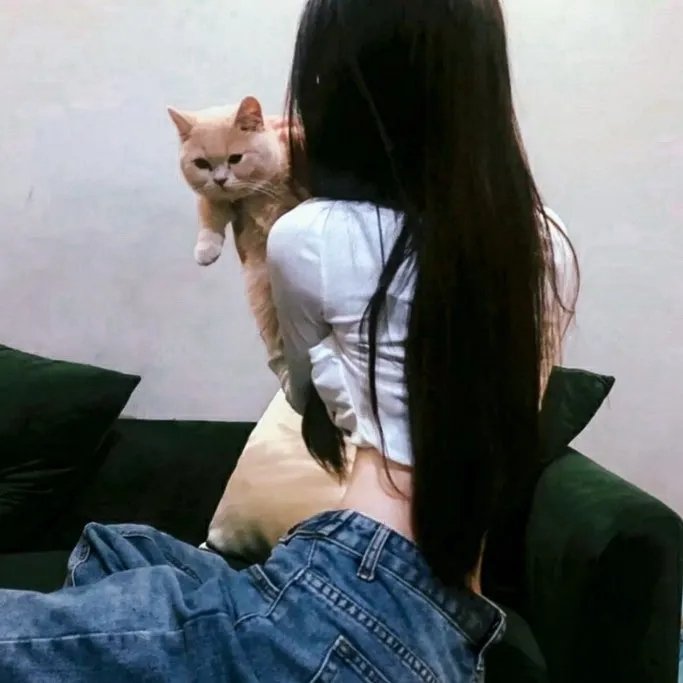 男人百分百